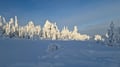 Rovaniemi: Lapland in Daylight – Scenic Nature & Wilderness Tour