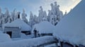 Rovaniemi: Lapland in Daylight – Scenic Nature & Wilderness Tour
