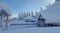 Rovaniemi: Lapland in Daylight – Scenic Nature & Wilderness Tour