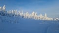 Rovaniemi: Lapland in Daylight – Scenic Nature & Wilderness Tour