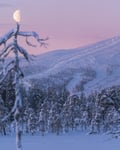 Snowshoe Adventure