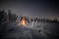 Night Snowshoeing Adventure in Lapland