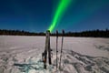 Ski Trekking under the Northern Lights in Rovaniemi