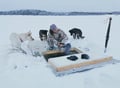 Arctic Winter Fishing
