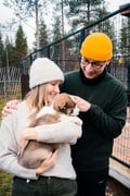 Husky Cart adventure in Levi Finland Lapland