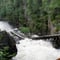 Rovaniemi: Insider Summer Auttiköngäs Hiking Tour