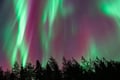 Rovaniemi: Insider Northern lights trip for families