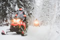 Full Day Snowmobile Safari to the Wilderness with Lunch