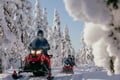Half-day Snowmobile Safari with Lunch