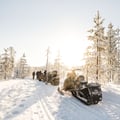 Full Day Snowmobile Safari to the Wilderness with Lunch