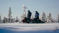 Half-day Snowmobile Safari with Lunch