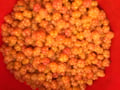 Goods of the Forest – picking trip of the season’s berries or mushrooms, 3 hours (Private Tour)