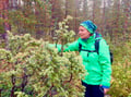 Goods of the Forest – picking trip of the season’s berries or mushrooms, 3 hours (Private Tour)
