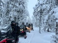 Begin Your Arctic Escape