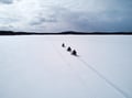 A SNOWMOBILE SAFARI 2,5h, in snowy forest, Levi
