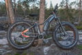E-Fatbike Tour from Rovaniemi (Midnight sun/Sunset)