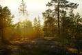 E-Fatbike Tour from Rovaniemi (Midnight sun/Sunset)
