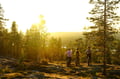 E-Fatbike Tour from Rovaniemi (Midnight sun/Sunset)