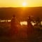 E-Fatbike Tour from Rovaniemi (Midnight sun/Sunset)
