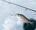 Rovaniemi: Ice-Fishing Adventures in Lapland