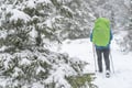 Early Snow Hiking Adventure from Rovaniemi (October - November)