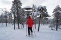 Early Snow Hiking Adventure from Rovaniemi (October - November)
