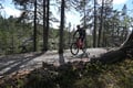 In search of flow - mountainbike tour for beginners