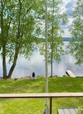 Finnish Summer Favorites