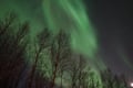 Northern Lights Rovaniemi – The Real Unlimited Adventure