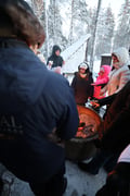 Arctic Wildlife Adventure Ranua Wildlife Park Trip