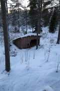 Arctic Wildlife Adventure Ranua Wildlife Park Trip