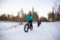 E-fatbike tour in Levi