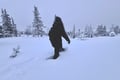 Private: Snowshoeing Safari in spectacular National Park