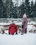 Reindeer farm visit