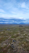 Guided full-day hikes to the Arctic Highlands of Utsjoki