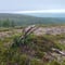 Guided full-day hikes to the Arctic Highlands of Utsjoki