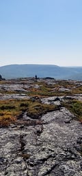 Guided full-day hikes to the Arctic Highlands of Utsjoki