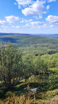 Guided full-day hikes to the Arctic Highlands of Utsjoki