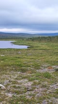 Guided full-day hikes to the Arctic Highlands of Utsjoki