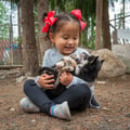 Husky hugging, petting, Husky Park, Siberian Husky, Rovaniemi Lapland