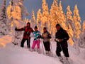 Private tour: Snowshoeing in Levi