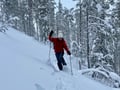 Private tour: Snowshoeing in Levi