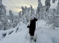 Private tour: Snowshoeing in Levi