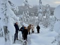 Private tour: Snowshoeing in Levi
