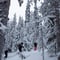 Private tour: Snowshoeing in Levi 