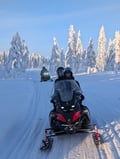 Family-Friendly Snowmobile Adventure