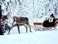 Arctic Reindeer Sleigh Ride (1.5km), Levi