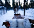 Arctic Reindeer Sleigh Ride (1.5km), Levi
