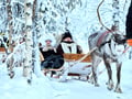 Arctic Reindeer Sleigh Ride (1.5km), Levi