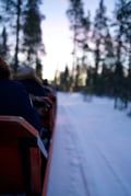 Arctic Reindeer Sleigh Ride (1.5km), Levi